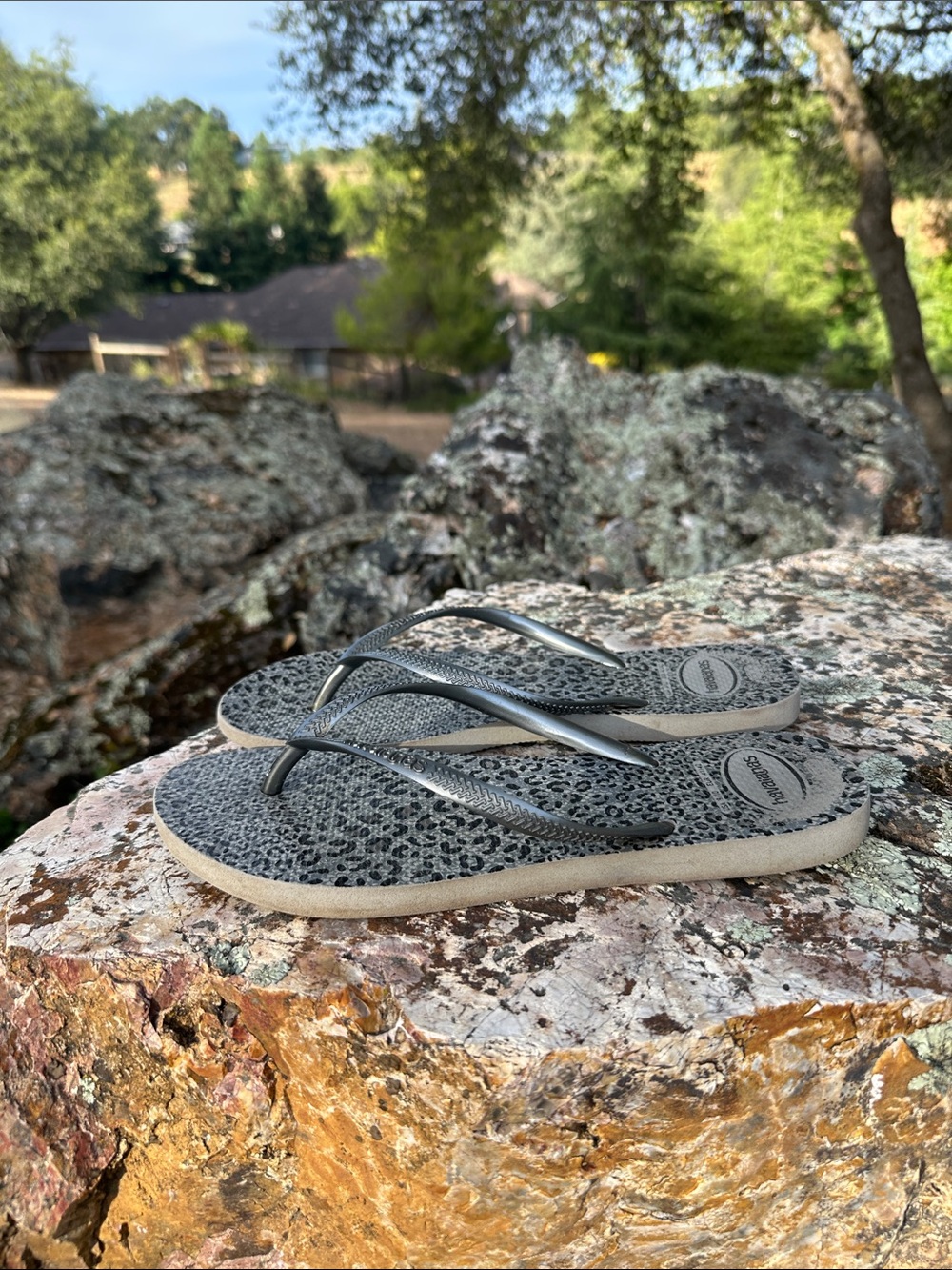 Havaianas Women's Flip Flops - Silver Metallic Straps with Grey Leopard Print